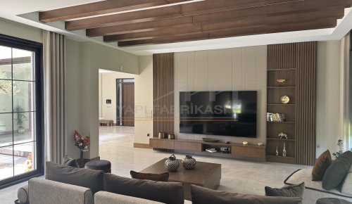 Yukarı Söğütönü Villa Projesi — Eskişehir (Görsel 23)
