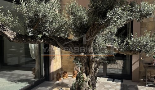 Yukarı Söğütönü Villa Projesi — Eskişehir (Görsel 47)