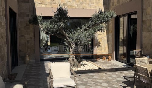 Yukarı Söğütönü Villa Projesi — Eskişehir (Görsel 46)